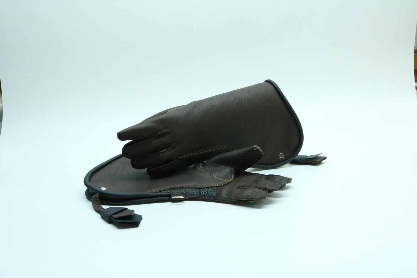 Adlerhandschuh -Ferus