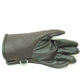 Falkenhandschuh "Ferus"